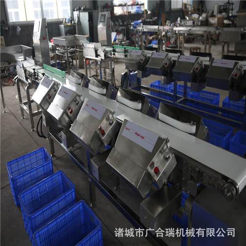 厂家供应重量分选机 海参鲍鱼海蛎子料盒重量分选设备 蛋黄分拣机 - 图0