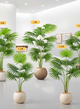 彷真绿色植物加州蒲葵沙发边室内装饰假植物高端轻奢室内大型彷生