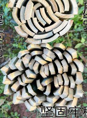 工地测绘工程放样竹片桩测量竹片桩单头削尖毛竹桩地插楠竹桩