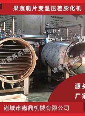 苹果脆片加工设备脆枣变温压差膨化设备果蔬干加工机器鑫鼎