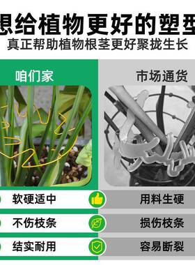 龟背芋支伸缩杆园艺定型收拢架天堂鸟防倒伏支架春羽水培植物固定