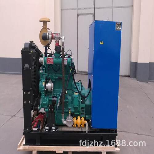 天燃气50kw发电机组供应小型燃气发电机组 燃气机组厂家 - 图2