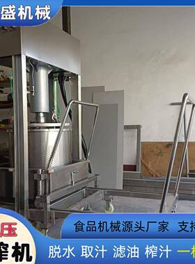 锦得盛全自动压滤机果汁分离压榨机鲜榨挤压式电动液压榨汁机定制
