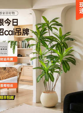 摆件仿生物客厅造景落地假植绿格室内盆栽仿真植木蔷装饰