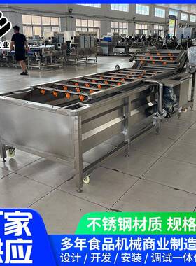 净菜生产线去残蔬菜气机泡清洗MAGA-102机酸菜农清洗脱盐果蔬用适