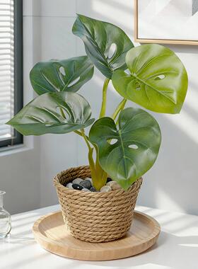 家居风彷真绿色植物盆栽室内客厅办公室桌面装饰景观绿色养眼植物
