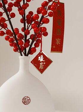 乔迁新居发财果新年装饰品客厅电视柜红果摆件新婚房间桌面布置同