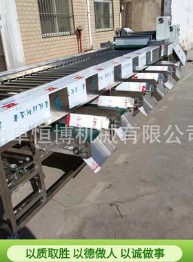 厂家工业西红柿筛选机 多功能果蔬分级设备 商用山楂红枣选果机