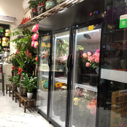 鲜花冰箱玻璃门蔬果冰柜商用单双三门冷藏保鲜展示柜风冷除霜立柜 - 图1
