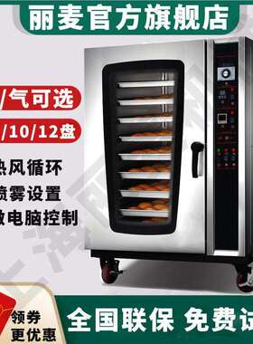 应5盘热风供循环炉 鸡腿烤鸡烤电鸭烤炉 商用烘热食品焙烤箱WFC-5