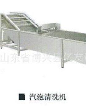供应蔬菜果品用 不锈钢汽泡清洗机 食堂果蔬气泡净菜清洗设备