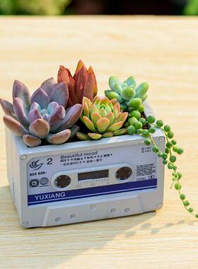 树脂卡带花工盆艺 花园民宿露饰台装种植槽品家树脂卡带居阳台卧