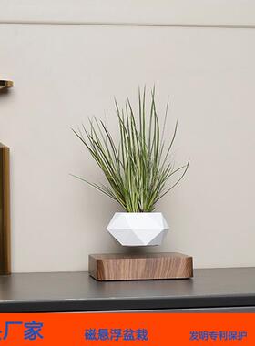 悬浮创意花盆磁悬浮盆栽空中盆栽植物悬空花盆客厅公司创意摆件