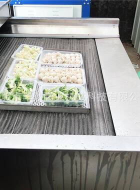 小型速冻机设备价格 速冻隧道品牌生产厂家 面食水饺包子速冻机