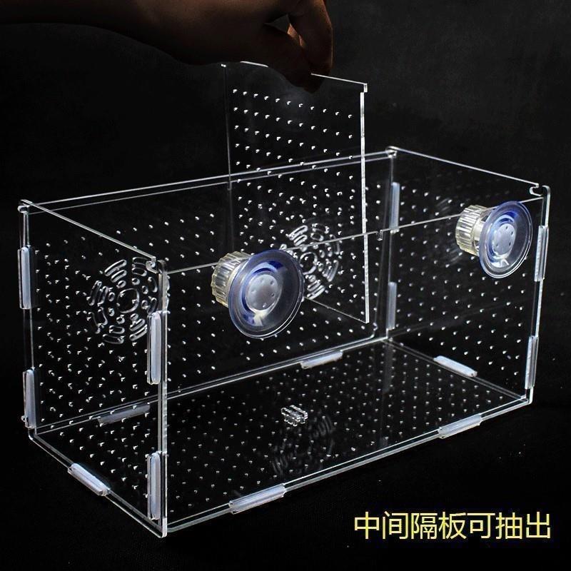 孔雀鱼新款特大号鱼缸带盖大小号繁殖箱乌龟隔板小鱼苗隔离盒鱼网 - 图2