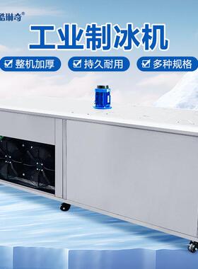 化工厂大型1吨10公斤船用制冰机冷水快速降温冻结冰砖机
