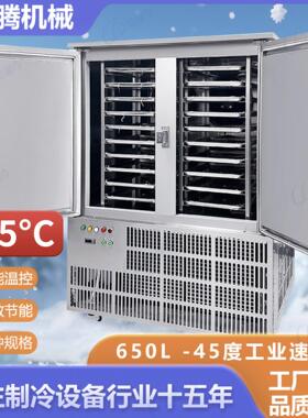 满载蒸发器低温风冷速冻柜两门20盘650L低温-45度100公斤速冻机