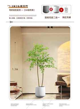 正品彷大型落地摆件植玄关装饰品电视柜高档轻奢客厅南真绿色物天