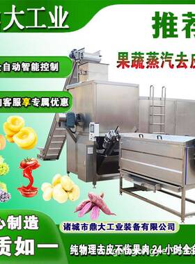 葡萄蒸汽烫皮机薯条加工流水线设备红薯削皮器黄桃头加工流水线
