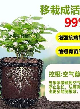 控根器围树板移植植物控根板容器农场移栽耐用大树石榴树花盆绿化