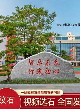 校园景观石大型校训石刻字花纹石灰色石头天然景观石广场石门牌石