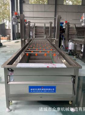 龙门自动提升气泡清洗机果蔬中草药鱼肉虾鼓泡式清洗预制菜加工