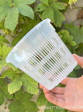 透明储水盆蝴蝶兰花石斛绿萝自吸水花盆套盆懒人盆圆形塑料接水盆