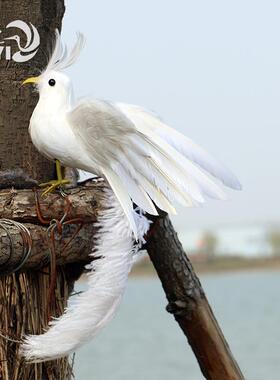 白色婚庆道具家居摆件凤凰鸟长尾鸟羽毛鸟装饰工艺品摄影羽毛工艺