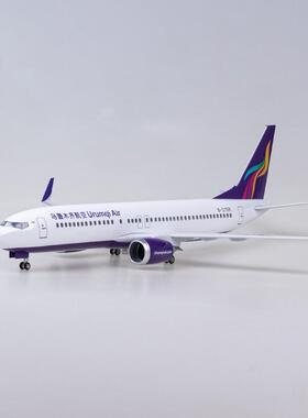 带灯乌鲁木齐航空737客机飞机模型737-800仿真拼装民航礼品摆件