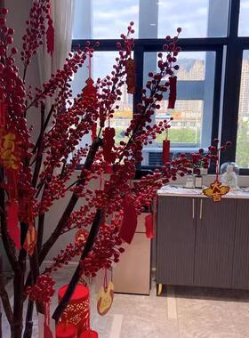 彷真红果树彷真北美冬青树许愿树红色发财树年宵花新年装饰真树
