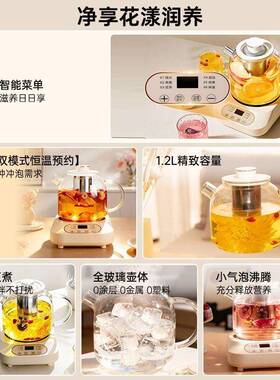 小南瓜养生壶多功能家用小型办公室全自动电炖养生杯煮茶器花茶壶