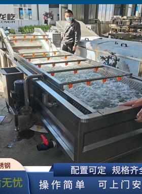 小型野菜汽浴式清洗机全自动海肠鼓泡式清洗线多功能喷淋洗菜机