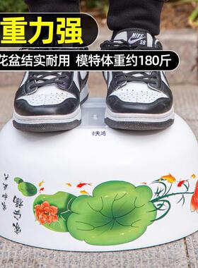碗莲盆睡莲盆缸荷花莲花金钱草水培花盆塑料树脂铜钱草器皿