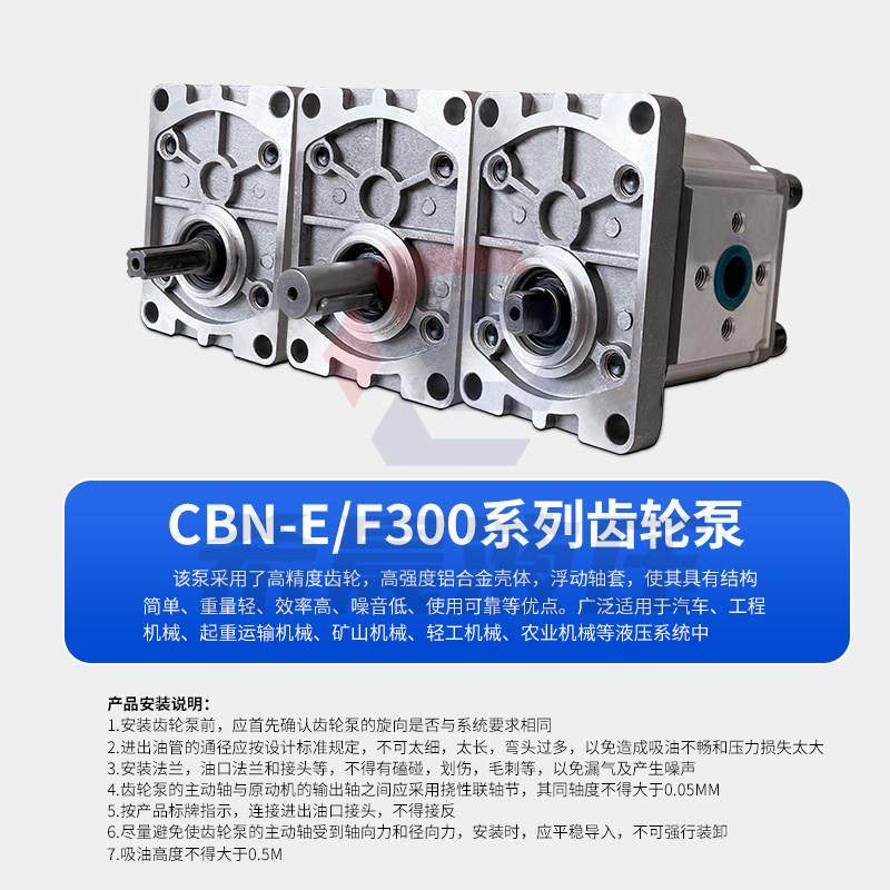 齿轮泵液压油泵CBN-E F 304 306 310 314 316 320 325 液压帮浦站,淘宝优惠券,粉丝福利购,淘宝优惠卷