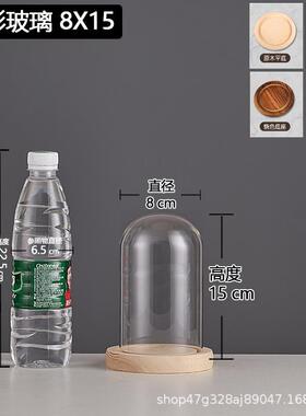 厂家跨境永生干花玻璃装饰摆件