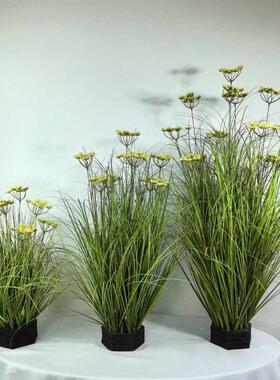 狗尾巴草植洋葱仿真绿橱窗苇草芦韭菜花造景盆栽草家居盆栽装饰