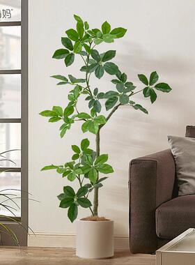 罗曼妈妈八方来财鸭脚木风铃叶彷真绿色植物高端轻奢发财树落地植