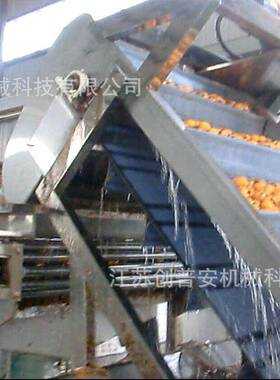 橙子桔子橙子小青柠檬柚子果汁果浆生产加工设备交钥匙生产线