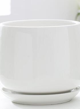 特大号白色花盆陶瓷带托盘蝴蝶兰专用仙人球绿萝包邮特价清仓简约
