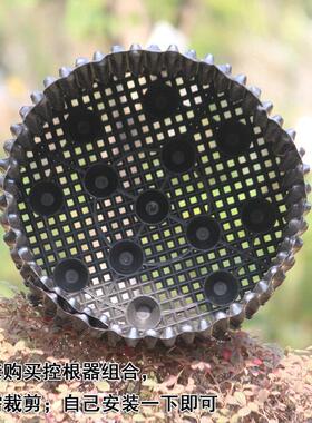 控根器植树专用苗木育苗果树塑料花盆底座透气围树板包邮庭院阳台