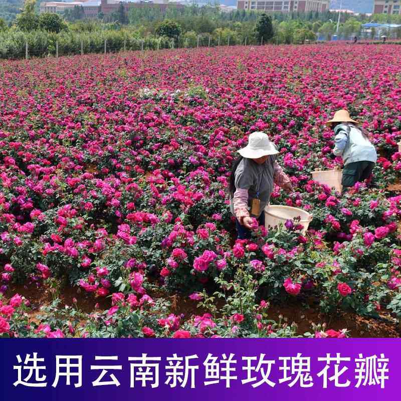 冰粉配料果酱 玫瑰糖浆专用玫瑰花酱云南商用食用鲜花奶茶冰粉粉,淘宝优惠券,粉丝福利购,淘宝优惠卷