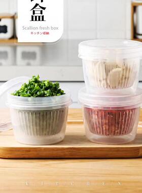 Lidded Freshness Container for Refrigerator, Fruit and Veget