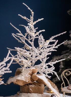 掬涵小型雪松耶诞树桌面摆件橱窗道具咖啡馆节日气氛布置装饰道具