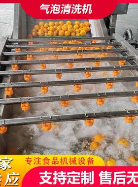 工厂用果蔬气泡清洗机葡萄鼓泡翻浪清洗机蓝莓喷淋气泡清洗机设备