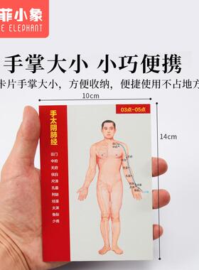 十二经络穴位图速记学习卡人体中医针灸模型教学走向挂12全身部位