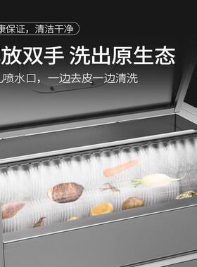 毛刷清洗去皮机商用饭店食堂土豆地瓜剥皮机LC-J-CX800