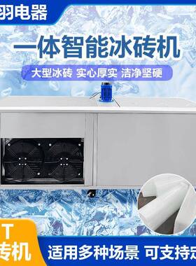 Industrial Commercial Ice Brick Making Machine Ice Block Pro