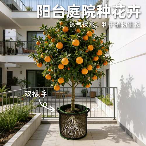 无纺布种植袋美植袋出口户外家庭植物加厚耐用花盆大号育苗加仑袋 - 图1