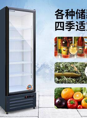 饮料柜商用冷藏展示柜直冷双门门展示柜超市玻璃门保鲜柜