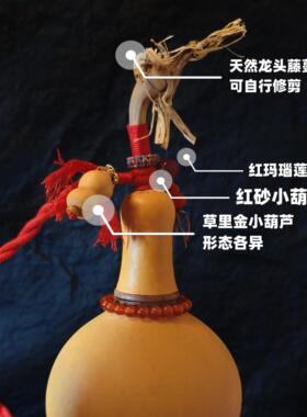 费天然葫挂摆件带龙GIW头真葫芦开口门对门客厅玄关件芦特大号免
